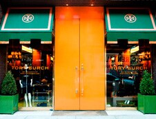 ABOUT THE    COMPANY