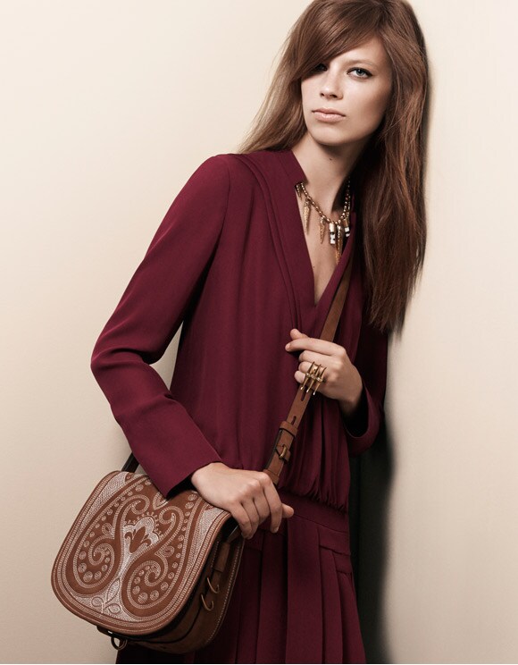 Shop the Embroidered Medium Saddlebag